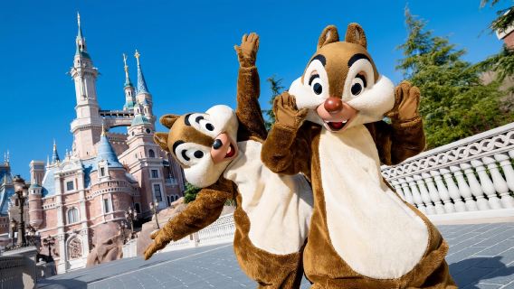 Round-trip private charter transfer between Shanghai Disney Resort and downtown Shanghai/Pudong New District/airport/high-speed rail station/city hotels