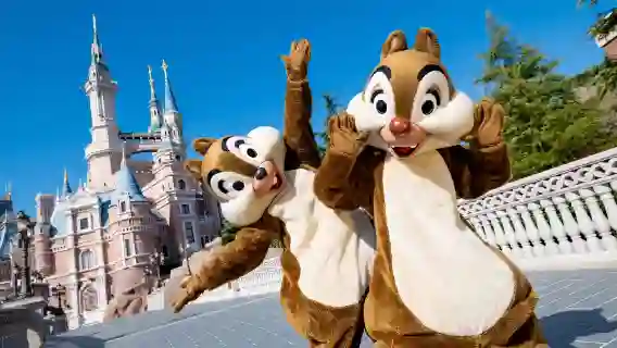 上海市中心/浦東新區/機場/高鐵站/浦東新區/市區酒店來回迪士尼包車接送