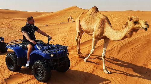 Dubai: Quad Bike Safari, Camels, & Camp with BBQ Dinner 9