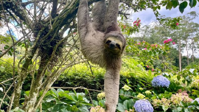 Rio de Janeiro Tijuca Rainforest Hike with Waterfalls and Caves