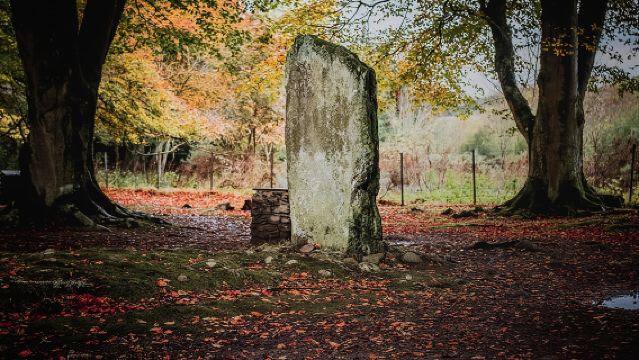 Glen Affric & Culloden Tour from Inverness Including Admissions