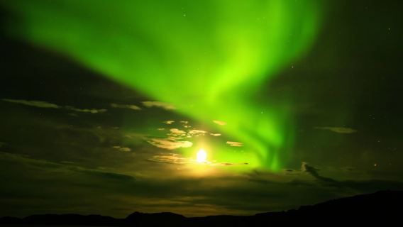 Россия|Мурманск#Охотник за северным сиянием|совместный трансфер или индивидуальный трансфер/аренда автомобиля с водителем для трансфера в центре города Хантер