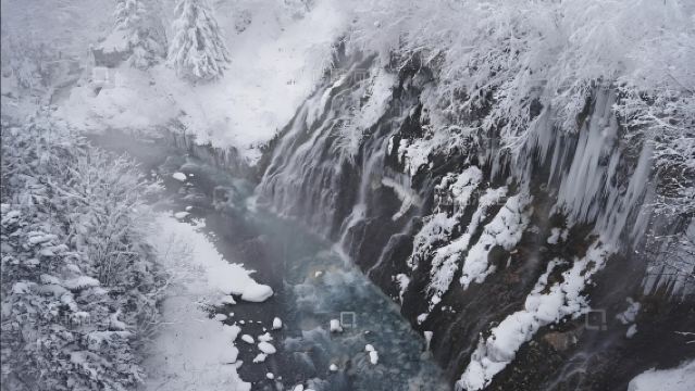 日本旭山動物園-美瑛神社-四季彩之丘-青池【北海道中文專車】