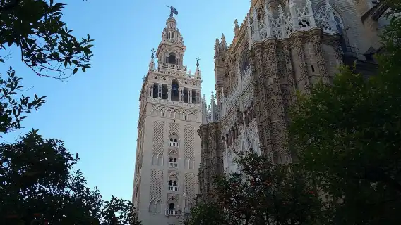 Guided Tour Sevilla Cathedral 