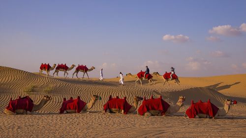 Overnight Camel Caravan with BBQ Dinner and Arabic Breakfast Day Tours 3