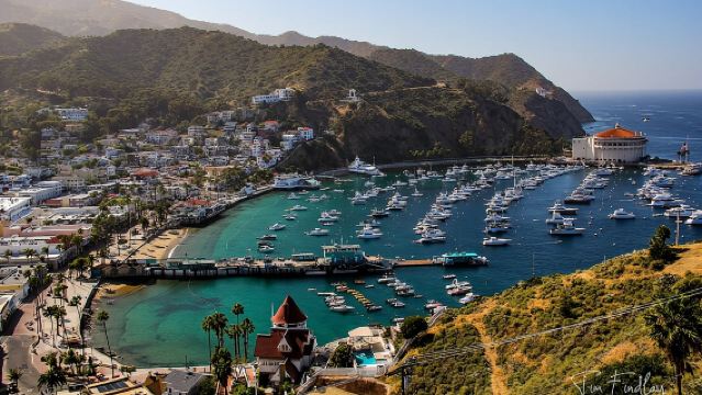 Catalina Island Private 2-Hour Tour of Avalon