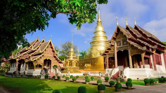 Chiang Mai City Tuk Tuk Tour - Half Day