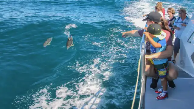 ทัวร์สำรวจ 4.5 ชั่วโมง ชมวาฬและโลมาในโอ๊คแลนด์ นิวซีแลนด์ [ชมวิวทางน้ำ/ท่องเที่ยวทางทะเล/ล่ามจากลูกเรือ]