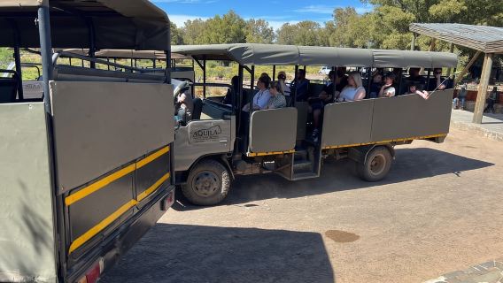 Le Cap : réserve animalière d'Aquila, safari Big 5 et vin partagés