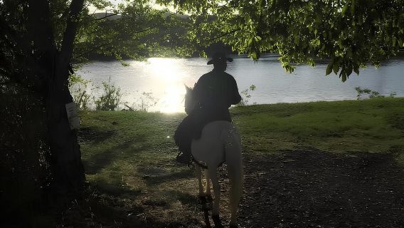 Bologna: Menunggang Kuda di Bukit Bolognese