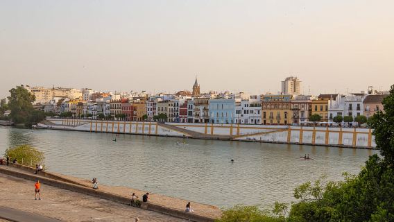 Siviglia: tour a piedi delle tapas con spettacolo di flamenco a Triana