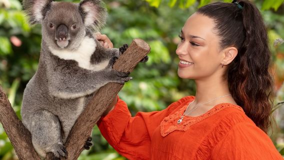 Trải nghiệm động vật hoang dã Kuranda: Gấu túi, chim và bướm