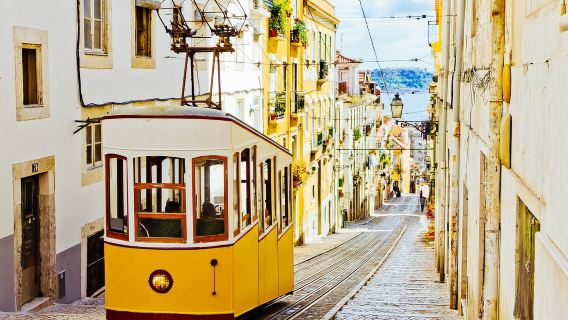จากปอร์ติเมาหรืออัลบูเฟรา: ทริปเต็มวันพร้อมไกด์ไปยังลิสบอน