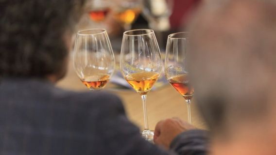 มาร์ซาลา: ทัวร์โรงบ่มไวน์ฟลอริโอพร้อมการชิมไวน์จับคู่กับอาหาร