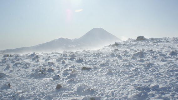 Mount Ruapehu: Whakapapa Sky Waka Gondola Shuttle Transport