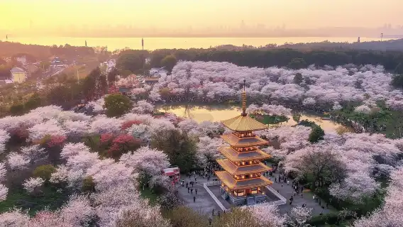 Wuhan in a Day: Local Flavors, Iconic Sites&Hidden Treasures