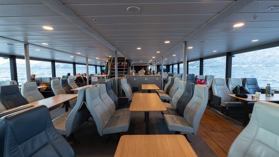 From Tromsø: Whale Watching Safari on High-Speed Catamaran