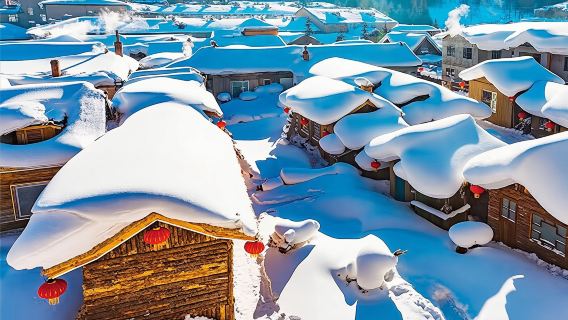 【VIP通道◆6人團◆巴士贈餐◆馬拉爬犁◆馴鹿園】雪鄉一日遊