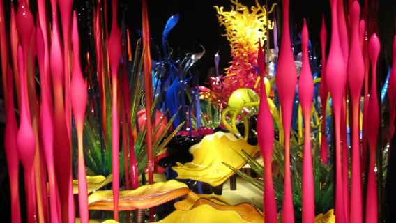 美國西雅圖派克市場+太空針塔+飛行博物館+華盛頓大學【經典】