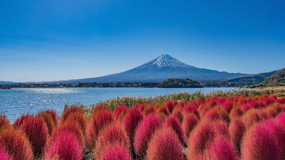 Tokyo|Hakone Yumoto + nave pirata + Owakudani + funivia di Hakone|Itinerario di noleggio con conducente esclusivo personalizzabile