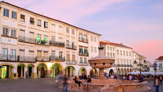 Évora: Tour đi bộ riêng, do Hướng dẫn viên địa phương thực hiện