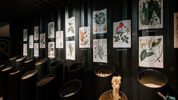 Marseillan: La Maison Noilly Prat Tour