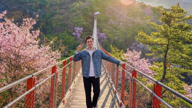 Visite guidée de la DMZ avec Corée du Nord/Téléphérique/Pont suspendu au départ de Séoul