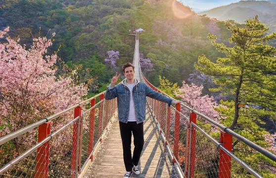 首爾出發 DMZ 導賞團（含北韓/纜車/吊橋）