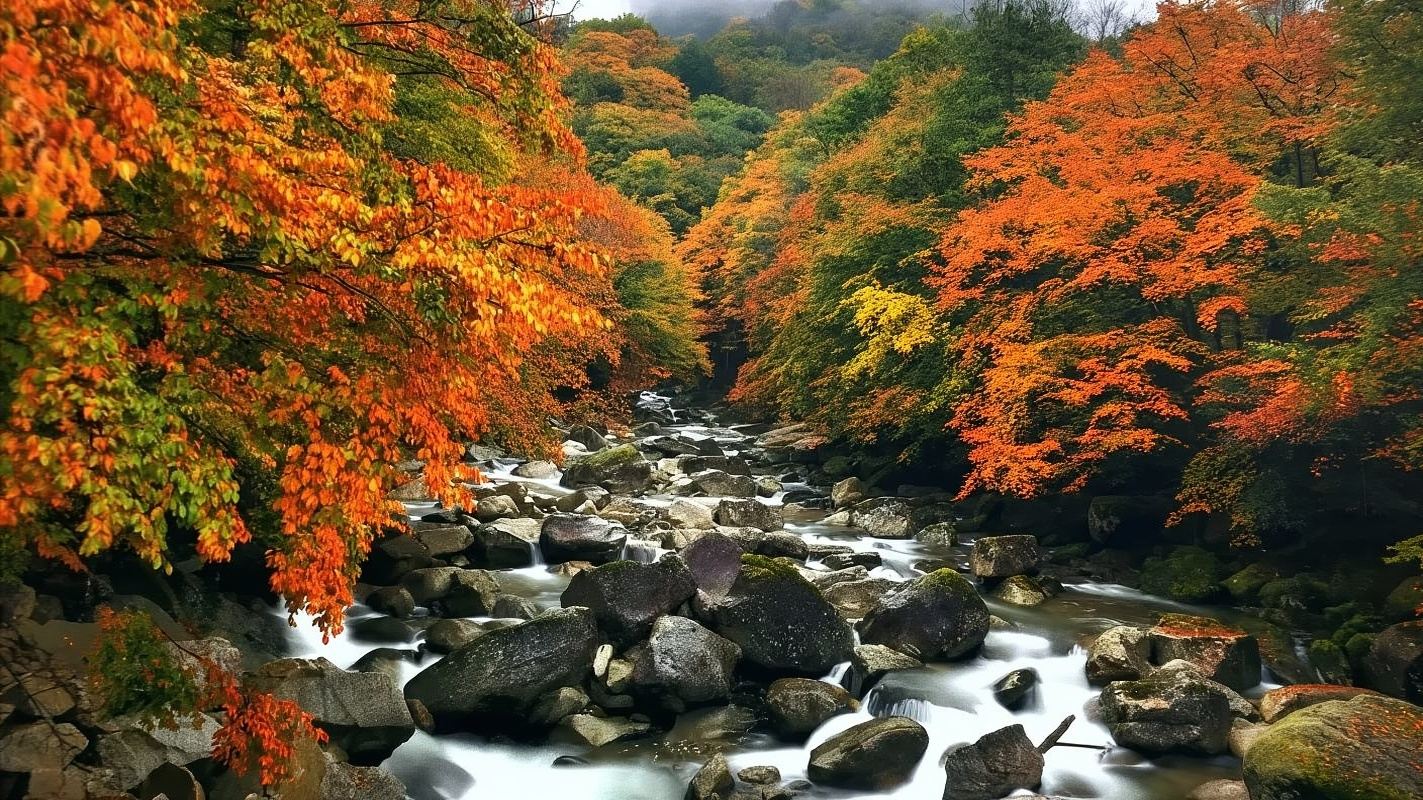 巴中光霧山景區+米倉山國家森林公園一日遊【私家包車，盡享純玩】