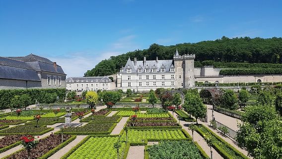 Loire Valley Half Day Tour from City of Tours : Villandry and Azay-le-Rideau Castles