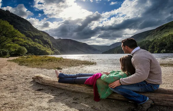 都柏林出發的基爾肯尼、威克洛郡及格倫達洛牧羊犬大賽