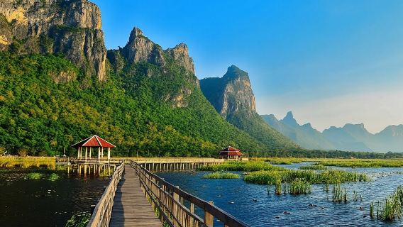 Mangrove Forest Hike and River Boat Ride with Private Guide from Hua Hin