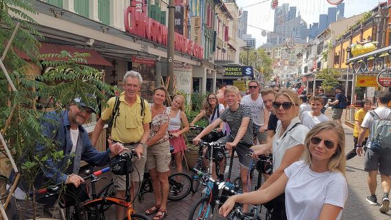 Lion City Bike Tour of Singapore
