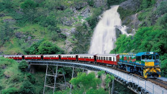 Classic Kuranda by Skyrail and Scenic Railway, Rainforestation & lunch. CKB