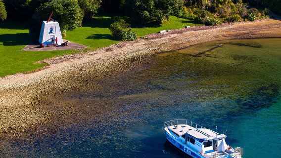 Crociera con il Capitano Cook e i Delfini