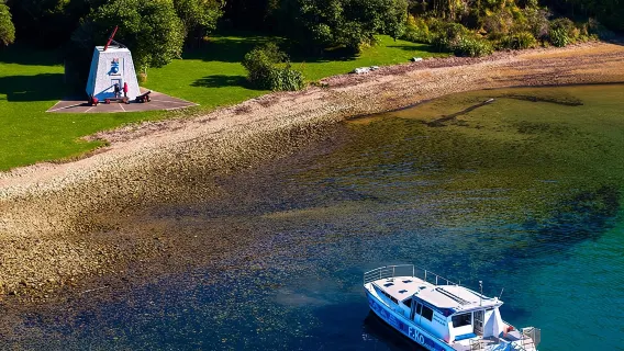 Crociera con il Capitano Cook e i Delfini