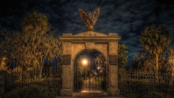 Gira Savannah Beyond Good & Evil