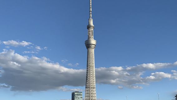 TokyoTours