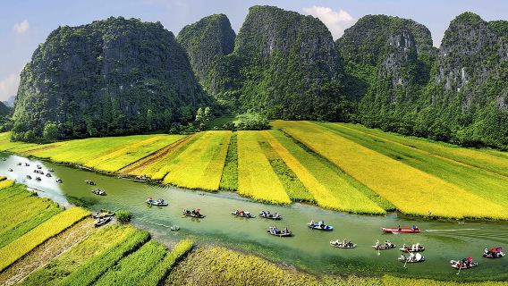 Luxury Ninh Binh Day Tour: Hoa Lu, Trang An & Mua Cave with Buffet Lunch