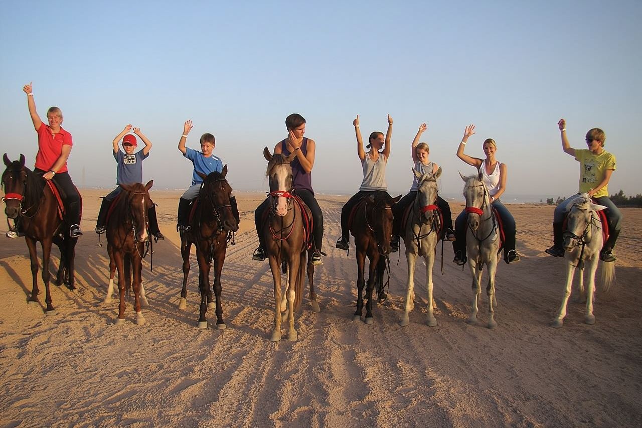 ATV-Pferde-Sternenbeobachtung