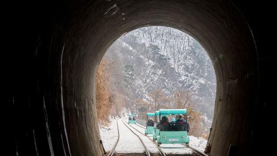 Da Seul: Isola di Nami + Valle di Eobi + Rail Bike + Petite France