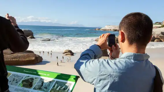 Departing from Cape Town, South Africa: Cape of Good Hope + Penguin Island 1-day tour (8–15 people small group)