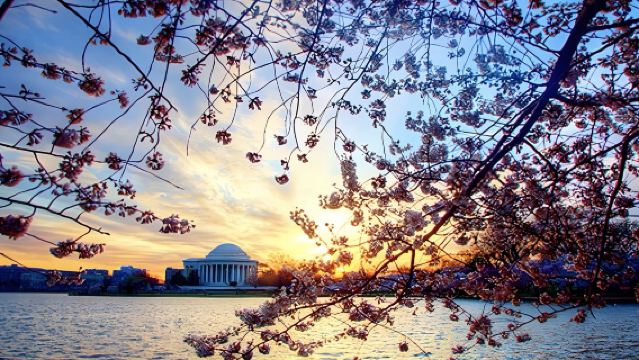 美國紐約+華盛頓經典遊 可定制【中文專車-舒適純淨】
