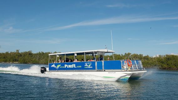 Crociera ecologica per l'osservazione dei delfini e la raccolta di conchiglie all'isola di Keewaydin