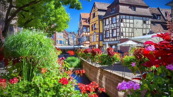 Colmar, keskiaikainen kylä ja linna pienryhmäretkenä Strasbourgista