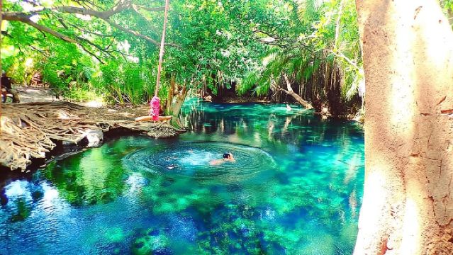 Materuni Waterfalls, coffee tour & Kikuletwa Hot Springs