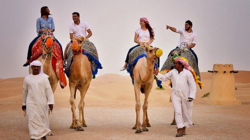 Abu Dhabi Al Khayma Seahorse Morning Dune Bashing Experience Day Tours 9