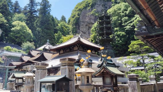 Nara: Hozan-ji Temple Guided Tour with Cable Car Ride