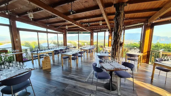 Tour della cantina con degustazione di vini biologici e pranzo vicino a Pompei