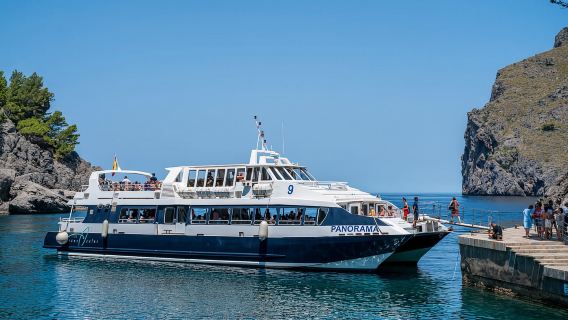 Mallorca: Island Tour with Boat, Tram & Train from the South